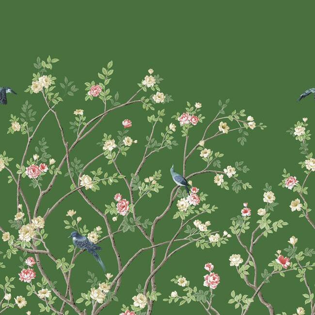 Lingering Garden Wall Mural Wall Mural York Roll Green 