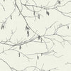 Winter Branches Wallpaper Wallpaper York Double Roll Black/White 