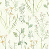 Alpine Botanical Wallpaper Wallpaper York Double Roll Peach 