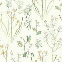 Alpine Botanical Wallpaper Wallpaper York Double Roll Peach 