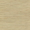 River Grass Wallpaper Wallpaper York Double Roll Spa Green/Beige 