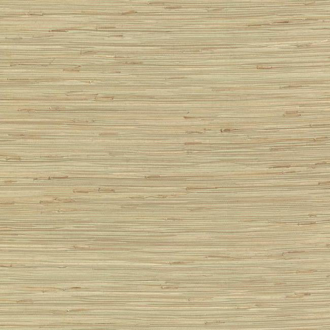 River Grass Wallpaper Wallpaper York Double Roll Spa Green/Beige 