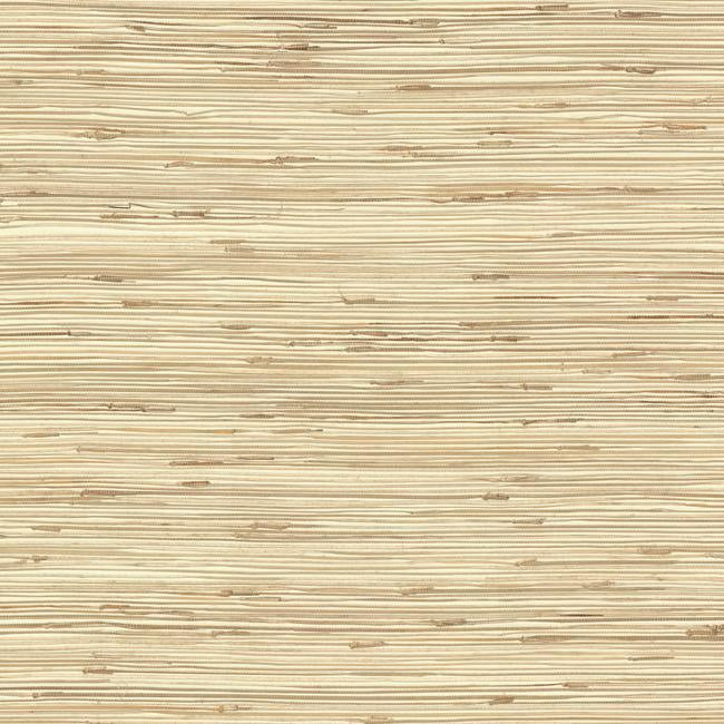 River Grass Wallpaper Wallpaper York Double Roll Wheat Beige/Taupe 
