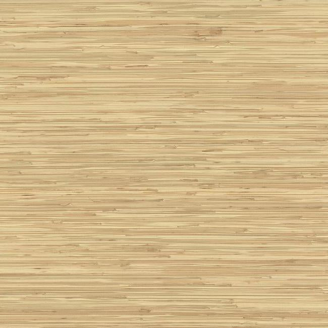 River Grass Wallpaper Wallpaper York Double Roll Golden Beige 