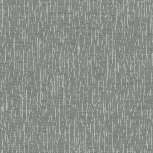 Woodland Twigs Wallpaper Wallpaper Antonina Vella Double Roll Charcoal 
