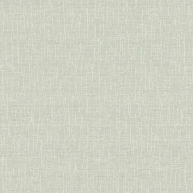 Woodland Twigs Wallpaper Wallpaper Antonina Vella Double Roll Cream On White 