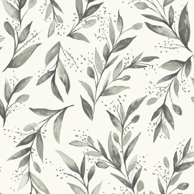 Olive Branch Premium Peel + Stick Wallpaper Peel and Stick Wallpaper Magnolia Home Roll Charcoal 