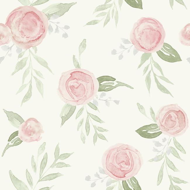 Watercolor Roses Premium Peel + Stick Wallpaper Peel and Stick Wallpaper Magnolia Home Roll Dishy Coral 