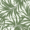 Bali Leaves Premium Peel + Stick Wallpaper Peel and Stick Wallpaper York Roll Green / Black 