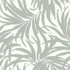 Bali Leaves Premium Peel + Stick Wallpaper Peel and Stick Wallpaper York Roll Grey / Silver 
