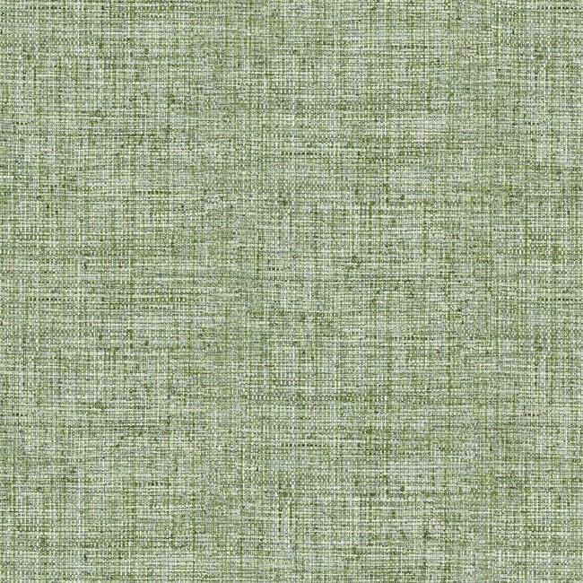 Papyrus Weave Premium Peel + Stick Wallpaper Peel and Stick Wallpaper York Roll Green 