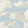 Clouds on Canvas Premium Peel + Stick Wallpaper Peel and Stick Wallpaper York Roll Blue 