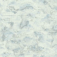 Coastal Map Premium Peel + Stick Wallpaper Peel and Stick Wallpaper York Roll Blue/Grey 