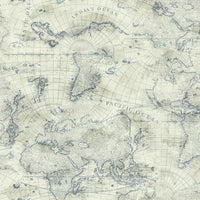 Coastal Map Premium Peel + Stick Wallpaper Peel and Stick Wallpaper York Roll Sepia/Navy 