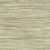 Bahiagrass Premium Peel + Stick Wallpaper Peel and Stick Wallpaper York Roll Natural 