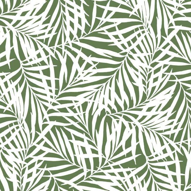 Oahu Fronds Premium Peel + Stick Wallpaper Peel and Stick Wallpaper York