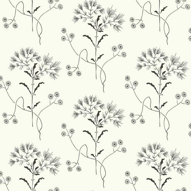 Wildflower Premium Peel + Stick Wallpaper Peel and Stick Wallpaper Magnolia Home Roll Black On White 