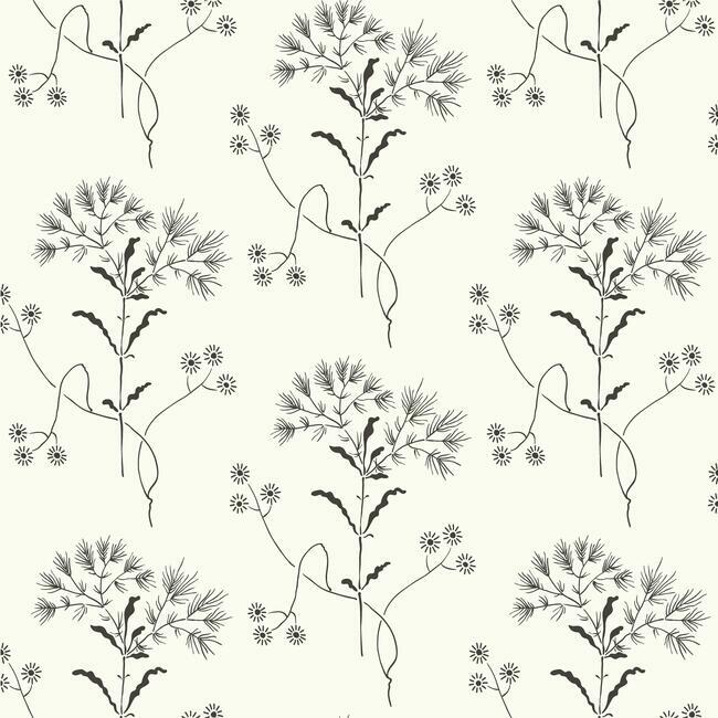 Wildflower Premium Peel + Stick Wallpaper Peel and Stick Wallpaper Magnolia Home Roll Black On White 