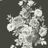Tea Rose Premium Peel + Stick Wallpaper Peel and Stick Wallpaper Magnolia Home Roll Black/White On Black 