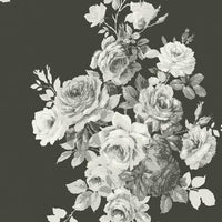 Tea Rose Premium Peel + Stick Wallpaper Peel and Stick Wallpaper Magnolia Home Roll Black/White On Black 
