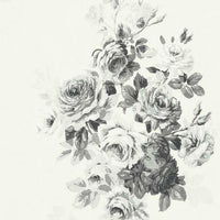 Tea Rose Premium Peel + Stick Wallpaper Peel and Stick Wallpaper Magnolia Home Roll Black/White On White 