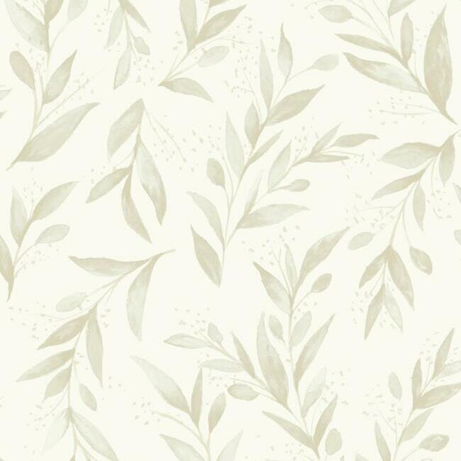 Olive Branch Premium Peel + Stick Wallpaper Peel and Stick Wallpaper Magnolia Home Roll Beige 