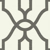 Woven Trellis Premium Peel + Stick Wallpaper Peel and Stick Wallpaper Magnolia Home Roll Repurpose 