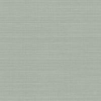 Laguna Abaca Premium Peel + Stick Wallpaper Peel and Stick Wallpaper York Roll Grey 