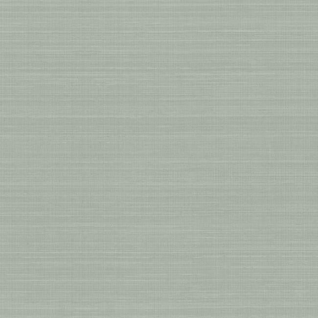 Laguna Abaca Premium Peel + Stick Wallpaper Peel and Stick Wallpaper York Roll Grey 