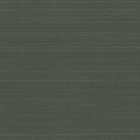 Laguna Abaca Premium Peel + Stick Wallpaper Peel and Stick Wallpaper York Roll Black 