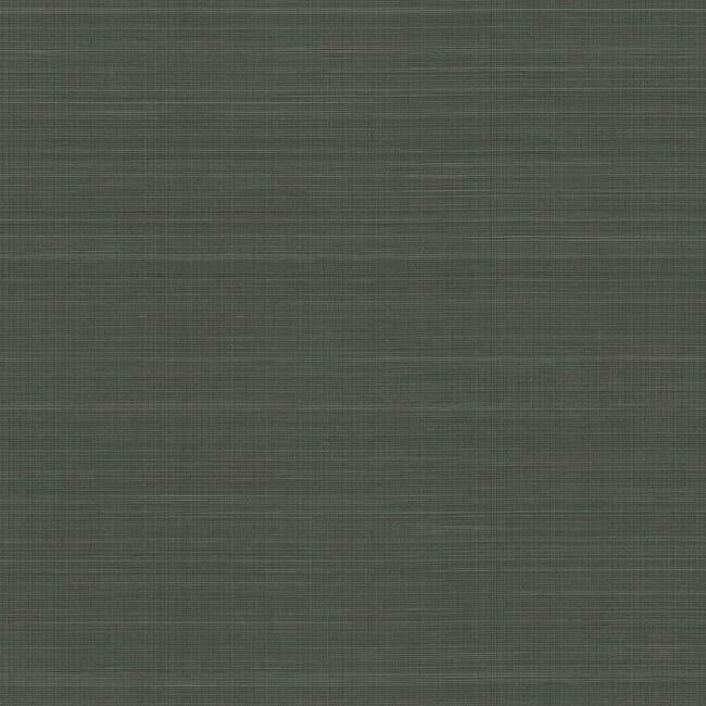 Laguna Abaca Premium Peel + Stick Wallpaper Peel and Stick Wallpaper York Roll Black 