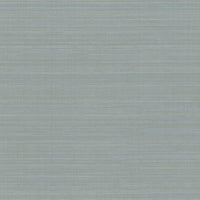 Laguna Abaca Premium Peel + Stick Wallpaper Peel and Stick Wallpaper York Roll Blue 