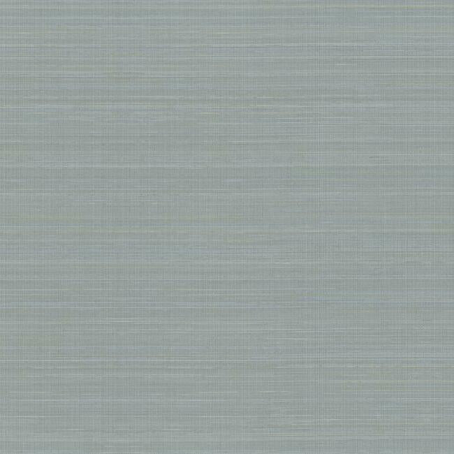 Laguna Abaca Premium Peel + Stick Wallpaper Peel and Stick Wallpaper York Roll Blue 