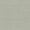 Laguna Abaca Premium Peel + Stick Wallpaper Peel and Stick Wallpaper York Roll Neutral 