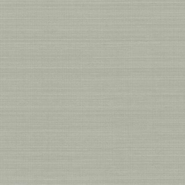 Laguna Abaca Premium Peel + Stick Wallpaper Peel and Stick Wallpaper York Roll Neutral 