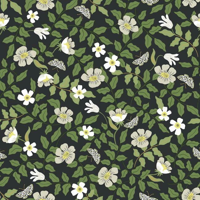 Primrose Premium Peel + Stick Wallpaper Peel and Stick Wallpaper Rifle Paper Co. Roll Linen and Black 