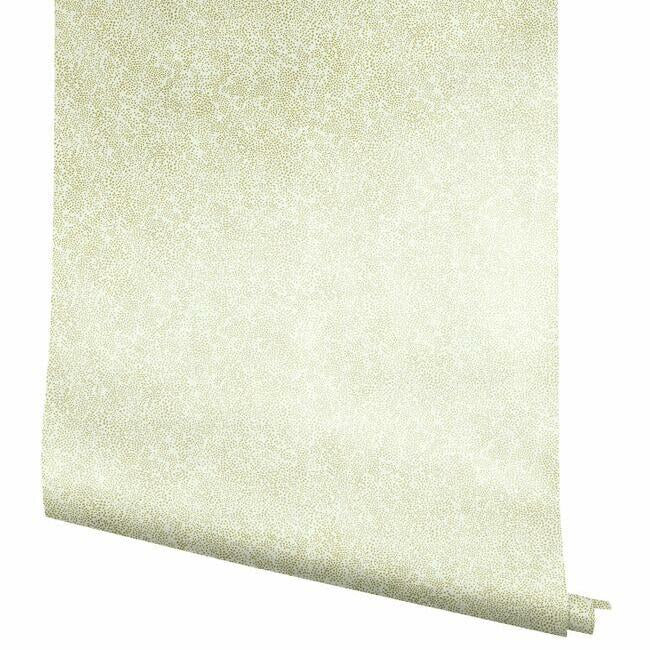 Champagne Dots Wallpaper Wallpaper Rifle Paper Co.   