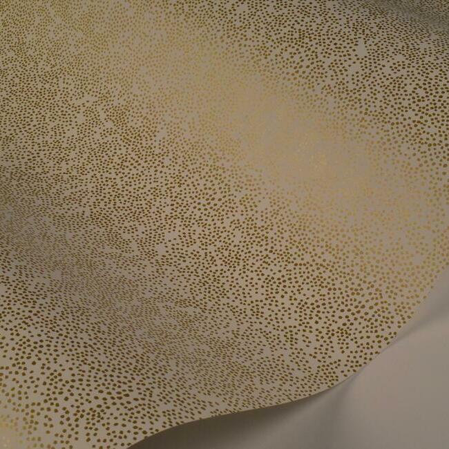 Champagne Dots Wallpaper Wallpaper Rifle Paper Co.   