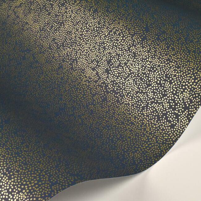 Champagne Dots Wallpaper Wallpaper Rifle Paper Co.   