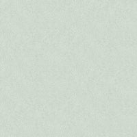 Champagne Dots Wallpaper Wallpaper Rifle Paper Co. Double Roll Mineral 