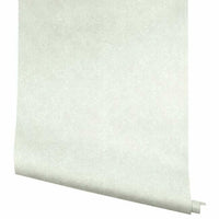 Champagne Dots Wallpaper Wallpaper Rifle Paper Co.   