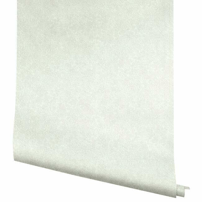Champagne Dots Wallpaper Wallpaper Rifle Paper Co.   