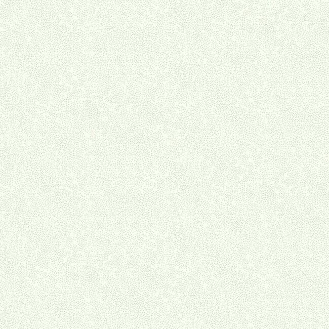 Champagne Dots Wallpaper Wallpaper Rifle Paper Co. Double Roll Linen & White 