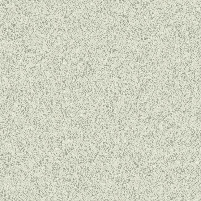 Champagne Dots Wallpaper Wallpaper Rifle Paper Co. Double Roll Silver & Linen 