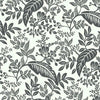 Canopy Wallpaper Wallpaper Rifle Paper Co. Double Roll Black & White 