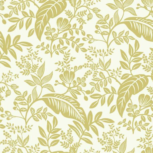 Canopy Wallpaper Wallpaper Rifle Paper Co. Double Roll Gold & White 