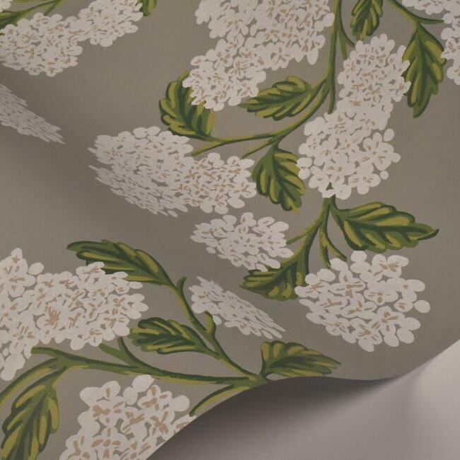 Hydrangea Wallpaper Wallpaper Rifle Paper Co.   