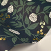 Peonies Wallpaper Wallpaper Rifle Paper Co.   