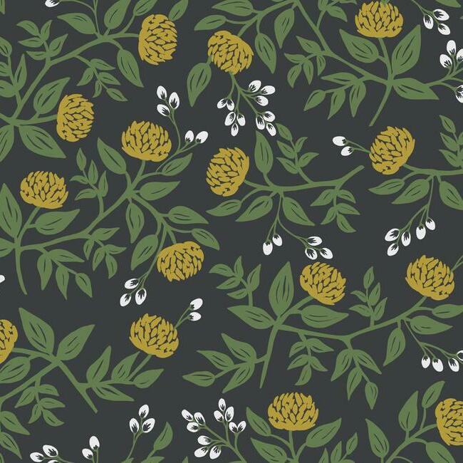 Peonies Wallpaper Wallpaper Rifle Paper Co. Double Roll Black & Gold 
