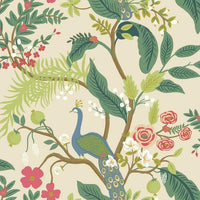 Peacock Wallpaper Wallpaper Rifle Paper Co. Double Roll Blush 